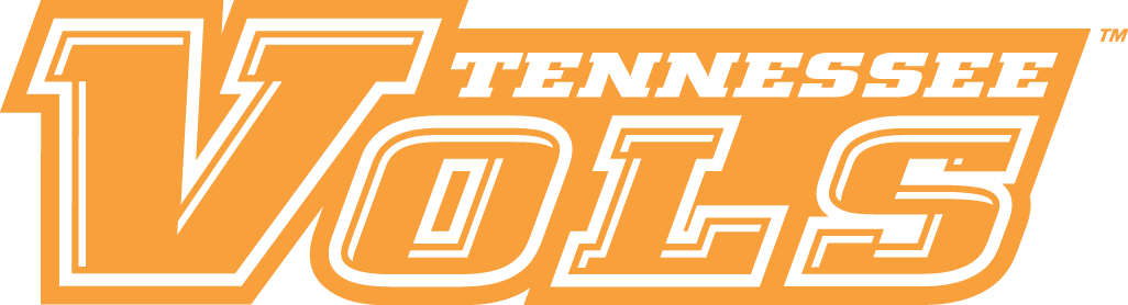 Tennessee Volunteers 2005-Pres Wordmark Logo t shirts iron on transfers v3